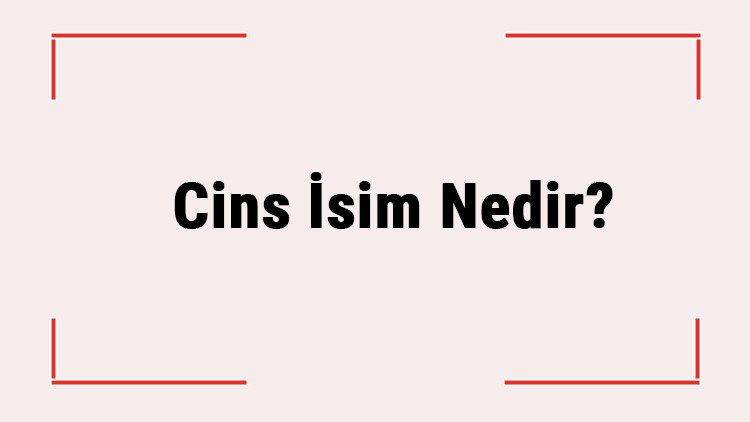 Cins İsim Nedir Özel İsimden Farkı Nedir Türkçede Kullanılan Cins İsim Örnekleri Cins İsim Nedir Özel İsimden Farkı Nedir Türkçede Kullanılan Cins İsim Örnekleri