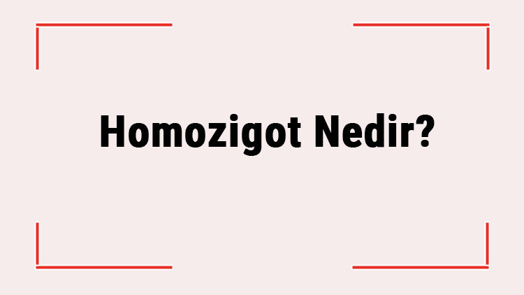 Homozigot Nedir Resesif, Çekinik, Domant Ne Anlama Gelir