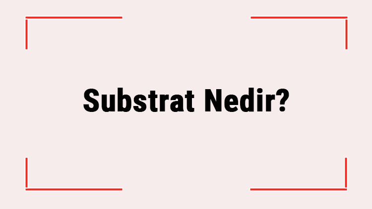 Substrat Nedir Substrat Özellikleri Ve Görevleri Nelerdir Substrat Nedir Substrat Özellikleri Ve Görevleri Nelerdir