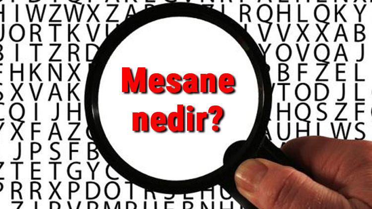Mesane nedir Vücutta mesane ne işe yarar ve nerededir