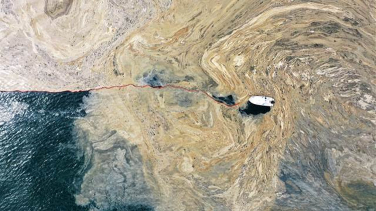 İzmirde deniz salyası görülme ihtimali var mı Belediye Başkanı Tunç Soyer yanıt verdi İzmirde deniz salyası görülme ihtimali var mı Belediye Başkanı Tunç Soyer yanıt verdi