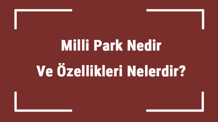 Milli Park Nedir Ve Özellikleri Nelerdir Ülkemizde Kaç Tane Milli Park Vardır Ve Örnekleri