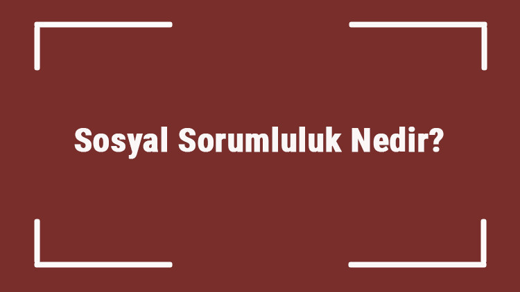 Sosyal Sorumluluk Nedir Sosyal Sorumluluk Projeleri, Örnekleri Ve Fikirleri Sosyal Sorumluluk Nedir Sosyal Sorumluluk Projeleri, Örnekleri Ve Fikirleri