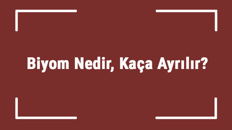 Biyom Nedir, Kaça Ayrılır Biyom Çeşitleri, Özellikleri Ve Örnekleri Biyom Nedir, Kaça Ayrılır Biyom Çeşitleri, Özellikleri Ve Örnekleri