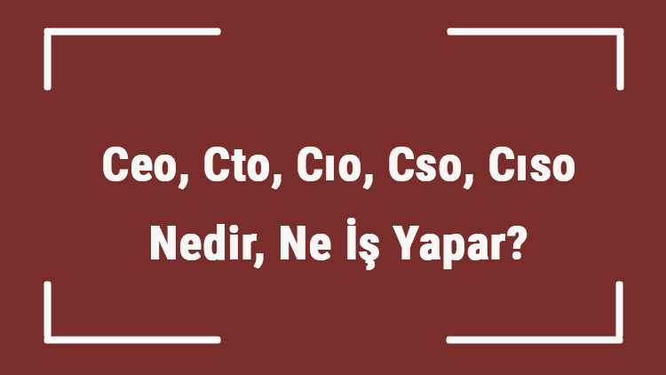 Ceo, Cto, Cıo, Cso, Cıso Nedir, Ne İş Yapar Terimlerin Açılımları Ve Görevileri..
