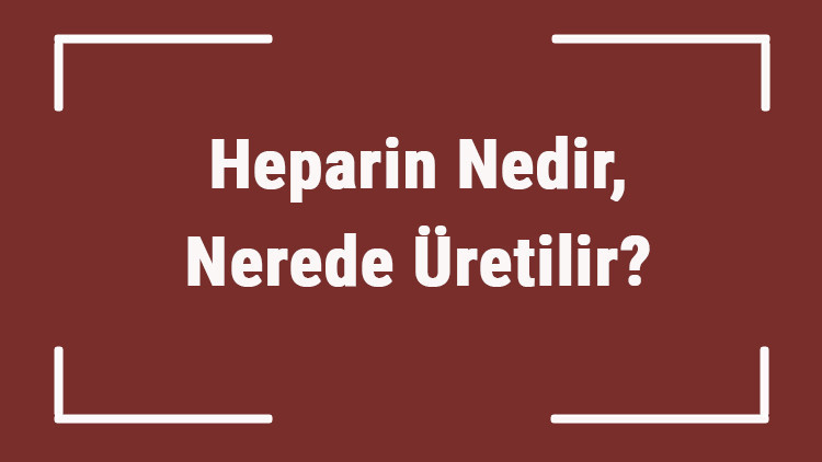Heparin Nedir, Nerede Üretilir Heparin Görevleri Nelerdir, Ne İşe Yarar
