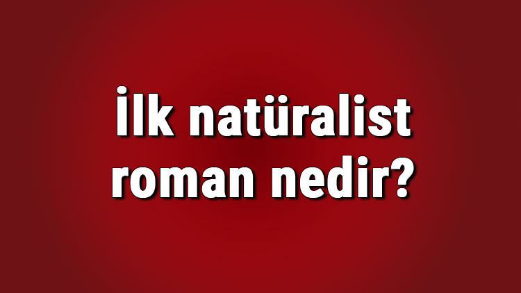 İlk natüralist roman nedir İlk natüralist roman yazarı kimdir Türk edebiyatında ilk natüralist roman hangisidir