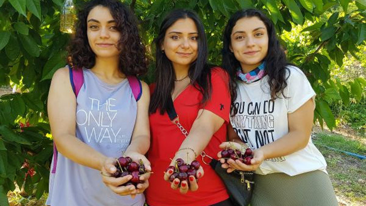Doğa yürüyüşü yapıp kiraz hasadına katıldılar Doğa yürüyüşü yapıp kiraz hasadına katıldılar