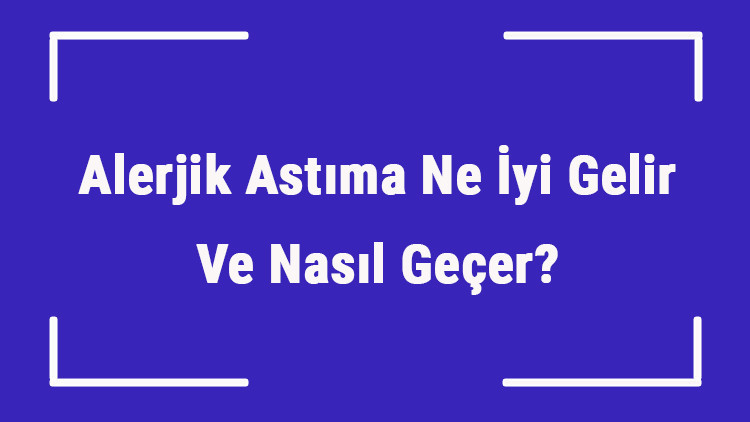 Alerjik Astıma Ne İyi Gelir Ve Nasıl Geçer Alerjik Astım Nedenleri Ve Tedavisi Alerjik Astıma Ne İyi Gelir Ve Nasıl Geçer Alerjik Astım Nedenleri Ve Tedavisi