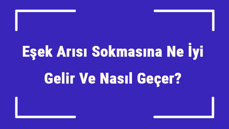 Eşek Arısı Sokmasına Ne İyi Gelir Ve Nasıl Geçer Eşek Arısı Sokması Öldürür Mü