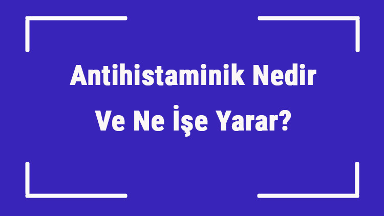 Antihistaminik Nedir Ve Ne İşe Yarar Antihistaminik Neden Kullanılır Antihistaminik Nedir Ve Ne İşe Yarar Antihistaminik Neden Kullanılır