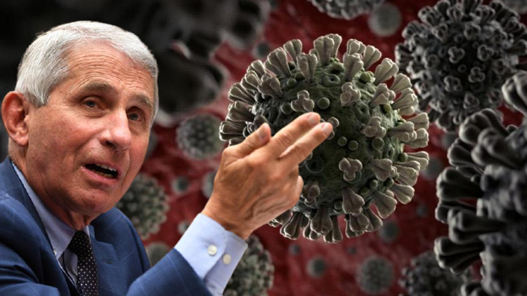 Korona profesörü hayatının şokunu yaşadı... Önce soyundu sonra havuza atladı