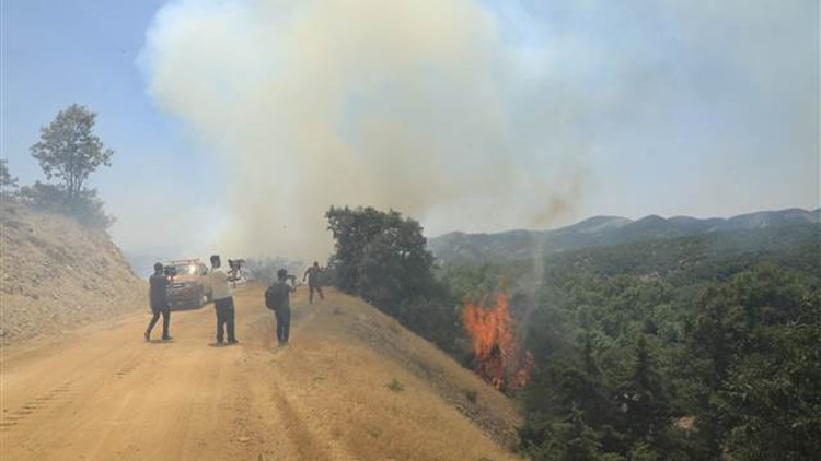 Bingölde 2 gün önce ormanlık alanda çıkan yangın sürüyor