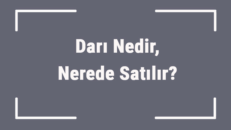 Darı Nedir, Nerede Satılır Darı Ne Zaman Ekilir Ve Nerede Yetişir