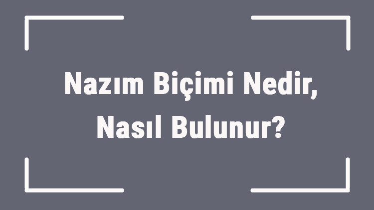 Nazım Biçimi Nedir, Nasıl Bulunur Nazım Biçimi Türleri Nelerdir