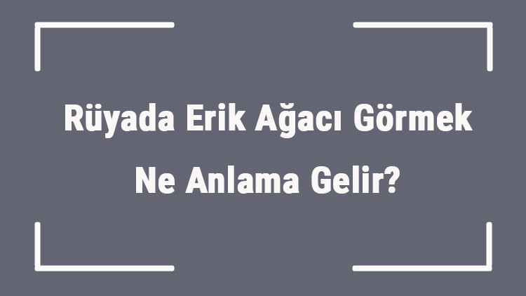 Rüyada Erik Ağacı Görmek Ne Anlama Gelir Rüyada Erik Ağacı Almak Ve Dikmek Anlamı