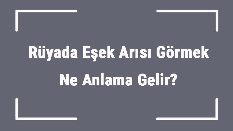 Rüyada Eşek Arısı Görmek Ne Anlama Gelir Rüyada Eşek Arısı Sokması Ve Kovalaması Anlamı Rüyada Eşek Arısı Görmek Ne Anlama Gelir Rüyada Eşek Arısı Sokması Ve Kovalaması Anlamı