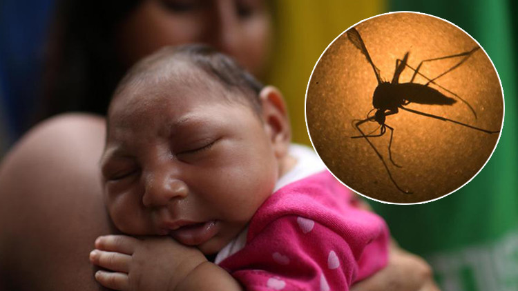 Son dakika haberi: Hindistan’da Zika virüsü kâbusu 14 kişide tespit edildi
