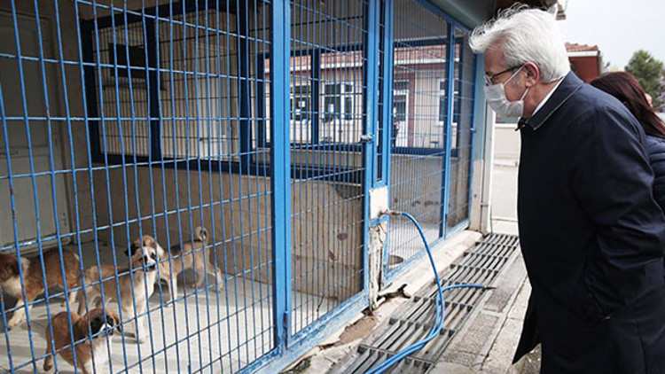 ‘Onay çıkarsa hemen yaparız’ ‘Onay çıkarsa hemen yaparız’