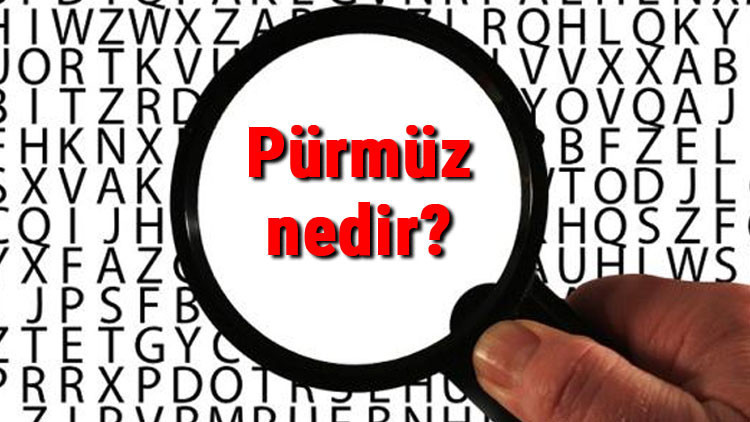 Pürmüz nedir, nasıl çalışır Pürmüz nerelerde ve nasıl kullanılır