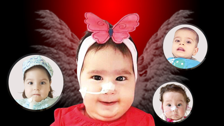 Elif Eva üç bebeğe umut oldu