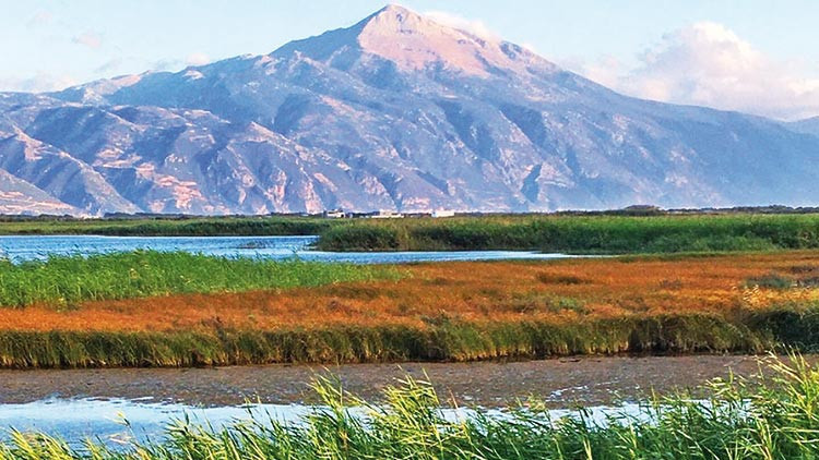 Milleyha alarmı Sonu Tuz Gölüne benzeyebilir...