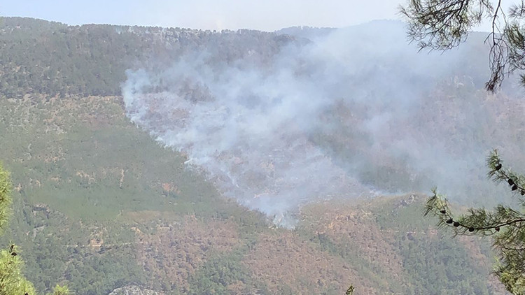 Son dakika... Mersinde orman yangını
