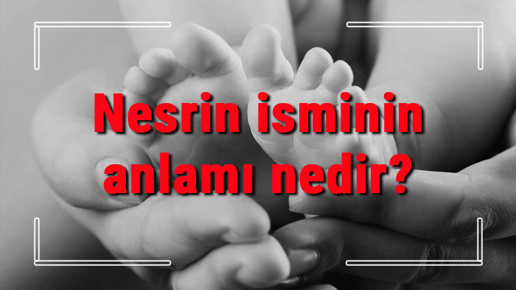 Nesrin isminin anlamı nedir Nesrin ne demek Nesrin adının özellikleri, analizi ve kökeni