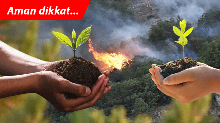 Uzmanlardan yeniden yeşillendirme uyarısı: Aman kaş yapayım derken göz çıkarmayalım