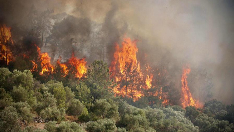 Nereye gidiyor, neye yol açıyor İki zıt sonucu var... Orman yangınlarında duman tehdidi