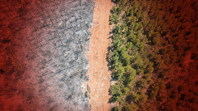 Alevler emniyet şeridini geçemedi Hayat koridoru