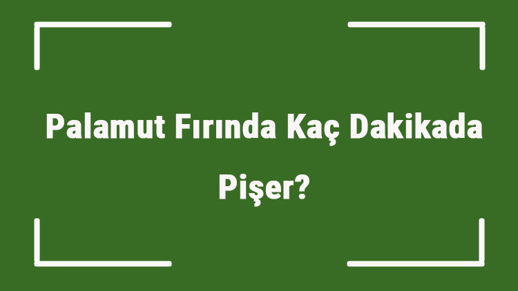 Palamut Fırında Kaç Dakikada Pişer Palamutun Ortalama Pişme Süresi..