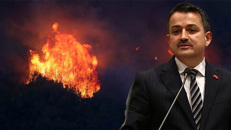 Son dakika: Bakan Pakdemirli duyurdu: Yangın desteklerinin ayrıntıları belli oldu Son dakika: Bakan Pakdemirli duyurdu: Yangın desteklerinin ayrıntıları belli oldu