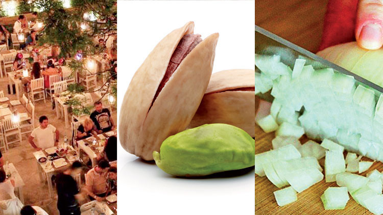 Yumurta kabuğundan kaşık olur mu Sıçandişi mi doğradık, piyazlık mı