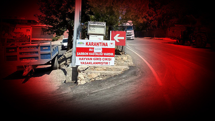 İlçede panik Hayvan giriş ve çıkışı yasaklandı