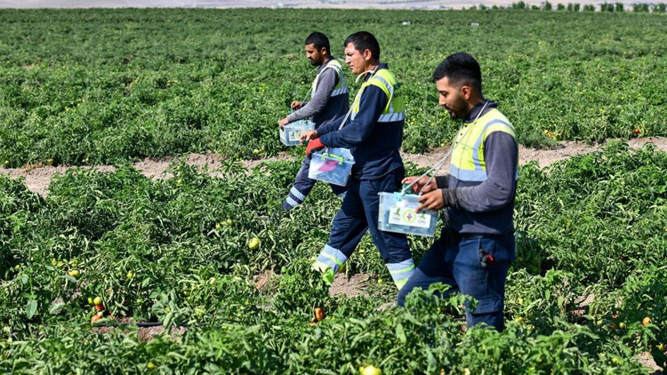 Tarımda biyolojik mücadele dönemi