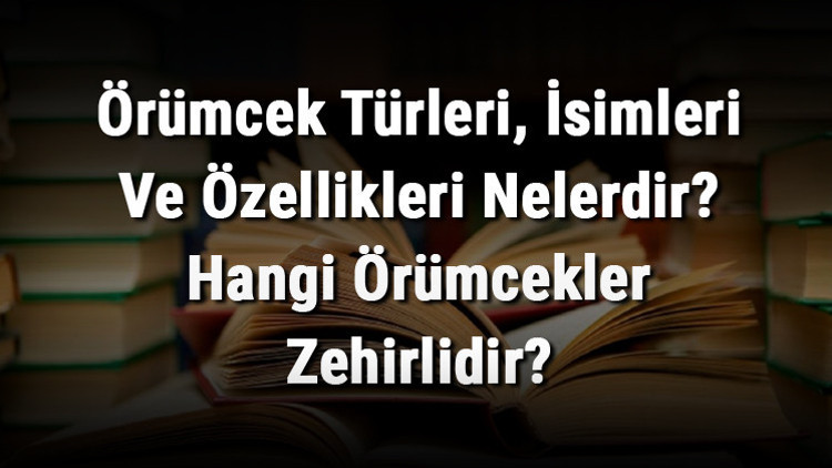 Örümcek Türleri, İsimleri Ve Özellikleri Nelerdir Hangi Örümcekler Zehirlidir