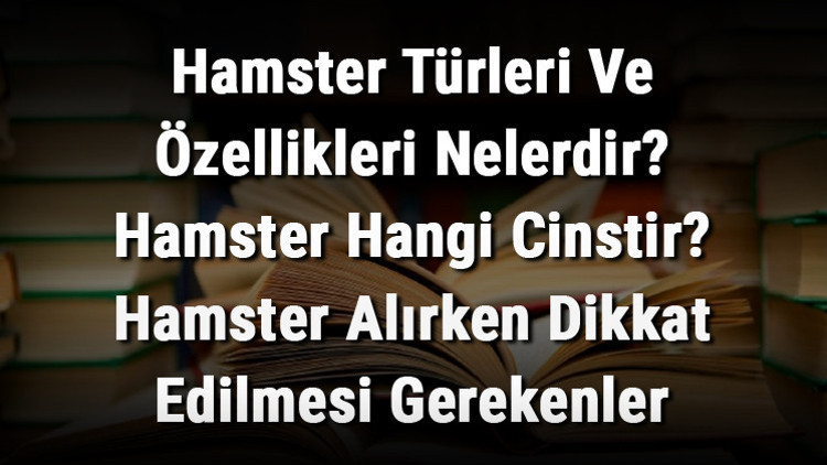 Hamster Türleri Ve Özellikleri Nelerdir Hamster Hangi Cinstir Hamster Alırken Dikkat Edilmesi Gerekenler Hamster Türleri Ve Özellikleri Nelerdir Hamster Hangi Cinstir Hamster Alırken Dikkat Edilmesi Gerekenler