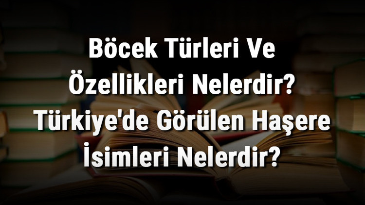 Böcek Türleri Ve Özellikleri Nelerdir Türkiyede Görülen Haşere İsimleri Nelerdir Böcek Türleri Ve Özellikleri Nelerdir Türkiyede Görülen Haşere İsimleri Nelerdir