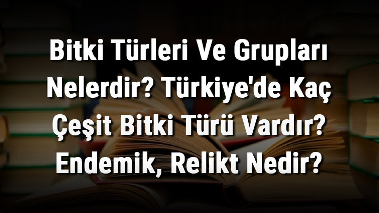 Bitki Türleri Ve Grupları Nelerdir Türkiyede Kaç Çeşit Bitki Türü Vardır Endemik, Relikt Nedir