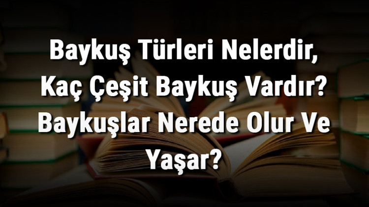 Baykuş Türleri Nelerdir, Kaç Çeşit Baykuş Vardır Baykuşlar Nerede Olur Ve Yaşar