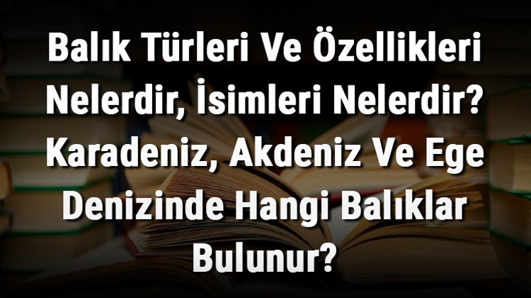 Balık Türleri Ve Özellikleri Nelerdir, İsimleri Nelerdir Karadeniz, Akdeniz Ve Ege Denizinde Hangi Balıklar Bulunur Balık Türleri Ve Özellikleri Nelerdir, İsimleri Nelerdir Karadeniz, Akdeniz Ve Ege Denizinde Hangi Balıklar Bulunur