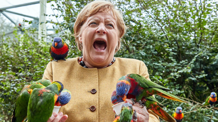 Kuşları beslerken Merkel Kuşları beslerken Merkel