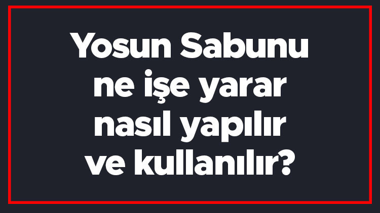 Yosun Sabunu ne işe yarar, nasıl yapılır ve kullanılır Yosun Sabunu nelere iyi gelir, cilde ve saça faydaları nelerdir Yosun Sabunu ne işe yarar, nasıl yapılır ve kullanılır Yosun Sabunu nelere iyi gelir, cilde ve saça faydaları nelerdir