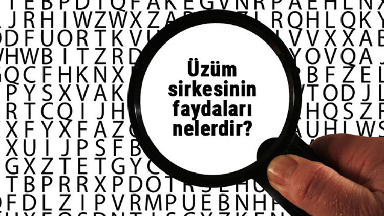 Üzüm sirkesinin faydaları nelerdir, ne işe yarar Üzüm sirkesi hangi hastalıklara iyi gelir... İşte detaylar Üzüm sirkesinin faydaları nelerdir, ne işe yarar Üzüm sirkesi hangi hastalıklara iyi gelir... İşte detaylar