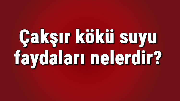 Çakşır kökü suyu faydaları nelerdir ve ne işe yarar Çakşır kökü suyu nasıl kullanılır ve neye iyi gelir