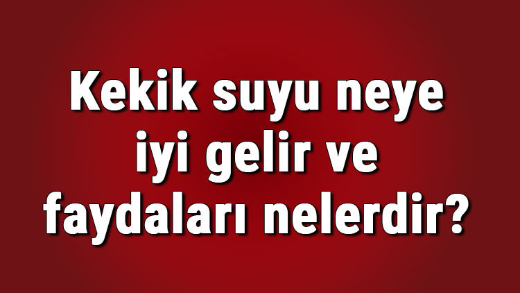 Kekik suyu neye iyi gelir ve faydaları nelerdir Kekik suyu içmenin ve kullanmanın cilde, saça ve adet söktürücü yararları