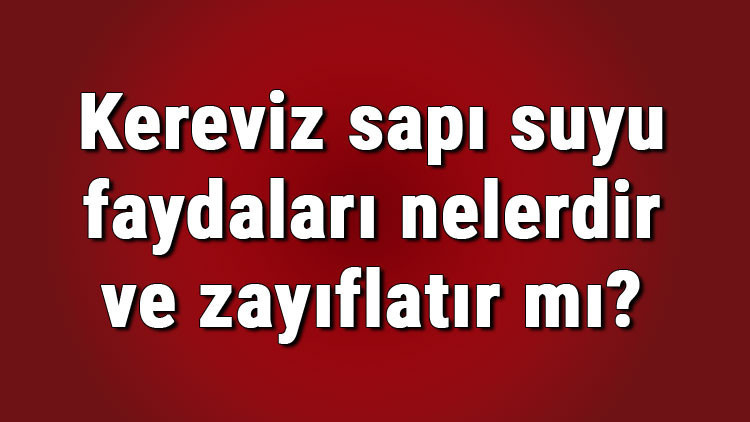 Kereviz sapı suyu faydaları nelerdir ve zayıflatır mı Kereviz sapı suyunun cilde faydaları ve neye iyi gelir Kereviz sapı suyu faydaları nelerdir ve zayıflatır mı Kereviz sapı suyunun cilde faydaları ve neye iyi gelir