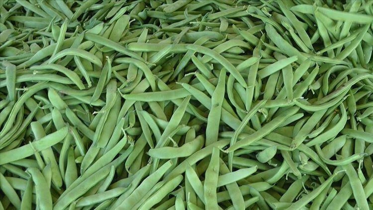 Fasulye Besin Değerleri: 100 Gr Fasulye Kaç Kalori Protein Ve Karbonhidrat Değerleri..