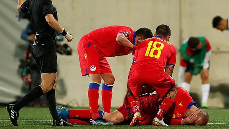 Yakalamak isterken sakatladı